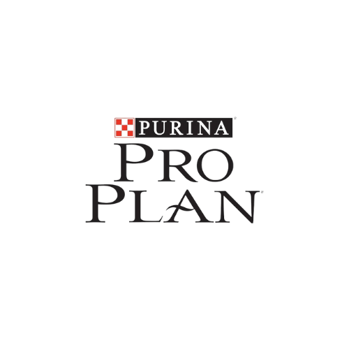 Alimento para animales burbujas pet shop