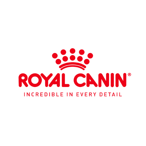 Alimentos para animales gatos perros burbujas pet shop