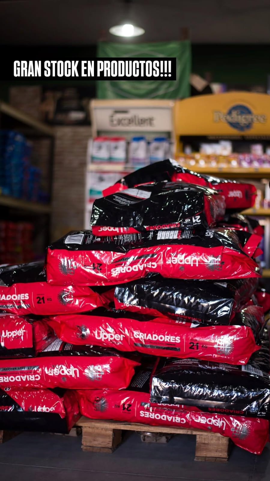 WhatsApp Image -02-11 at 11.11.43