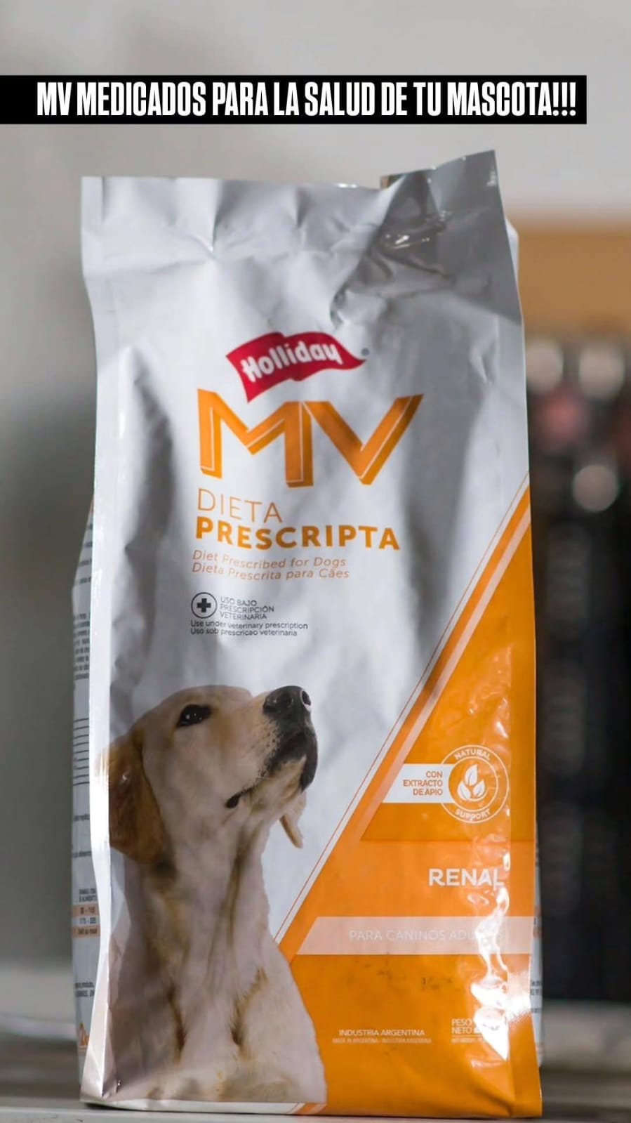 WhatsApp Image 2026-02-10 at 10.26.47