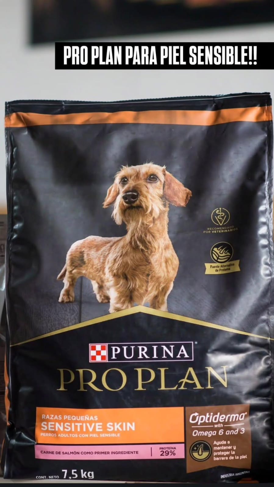 WhatsApp Image 2026-02-at 10.26.47